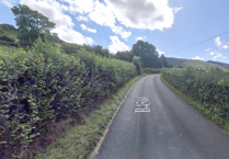 Horse dies after collision with car near village