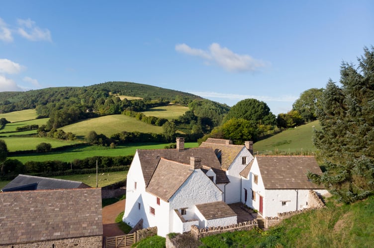 Llwyn Celyn