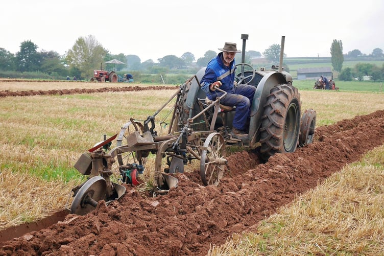Daryl Evans, Master of the plough