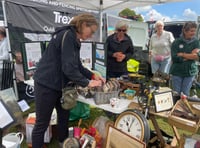 The View From Westminster With Catherine Fookes MP