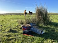 Redwings calls for tighter fireworks rules