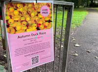 
For duck’s sake, just shut up and race!

