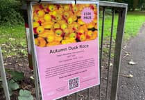 For duck’s sake, just shut up and race!
