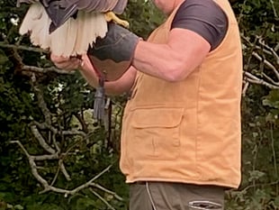 Public enraptured by raptors at free flying event