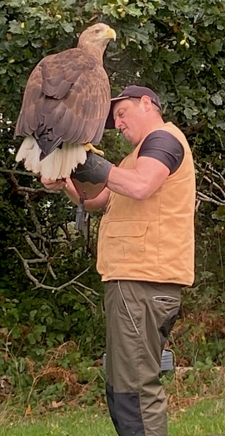 Lewis and Florence the eagle