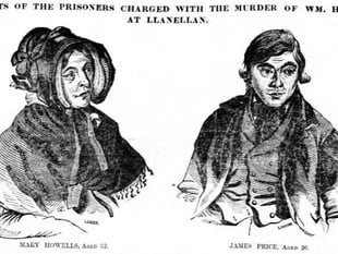 
A mysterious case of poisoning in Llanellen!
