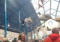 The View From Westminster With Catherine Fookes MP