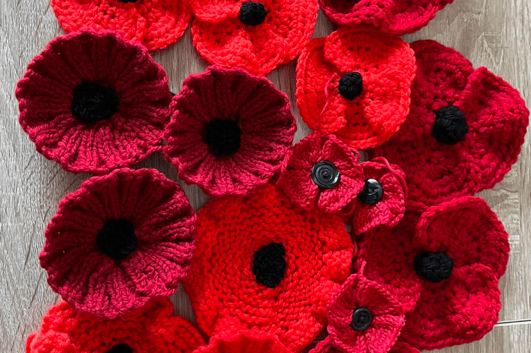 Abergavenny Knitted Poppies