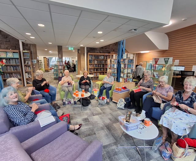 Meet the ladies painting the town red for this Remembrance Day