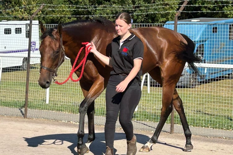 Kurimu came second at 50/1 at Wolverhampton