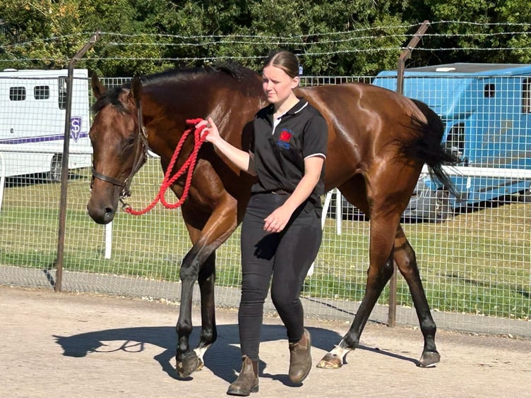 Kurimu came second at 50/1 at Wolverhampton