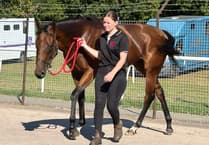 Evans above in the world of racing