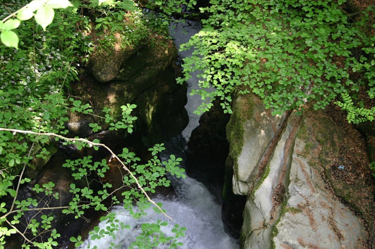 The Fairy Glen