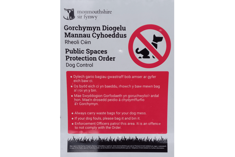 Irresponsible dog owners are floating the law and letting their dogs foul a pitch used by youngsters and seniors