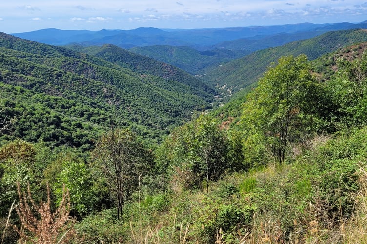 View across the wooded Cevennes mountains in France