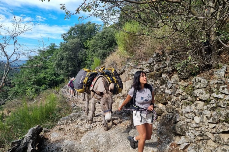 Guide Delphine leads one of the donkeys