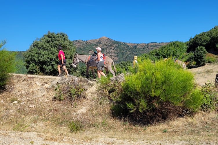 On the trek
