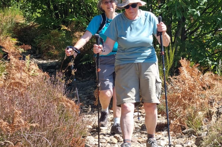 Negotiating the rocky paths