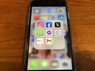 Monmouthshire supports social media ban for teens