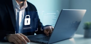 What data breaches can teach small businesses about staying safe
