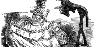 
Revisiting the Beaufort Iron Works poisonings of 1849 
