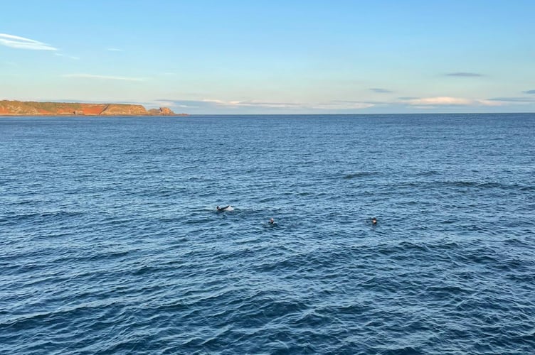 The team started their challenge in the North Sea.