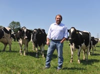 NFU Cymru supports move on bovine TB restrictions