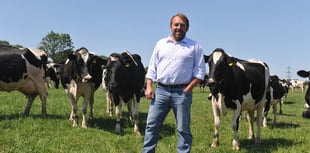 NFU Cymru supports move on bovine TB restrictions