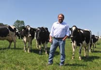 NFU Cymru supports move on bovine TB restrictions