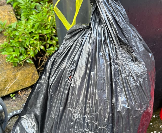 Blaenau Gwent waste wardens target black bags to find non-recyclers 