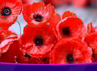 Free travel for veterans on Remembrance Day