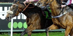 Evans above as King's Code scoops £41k prize