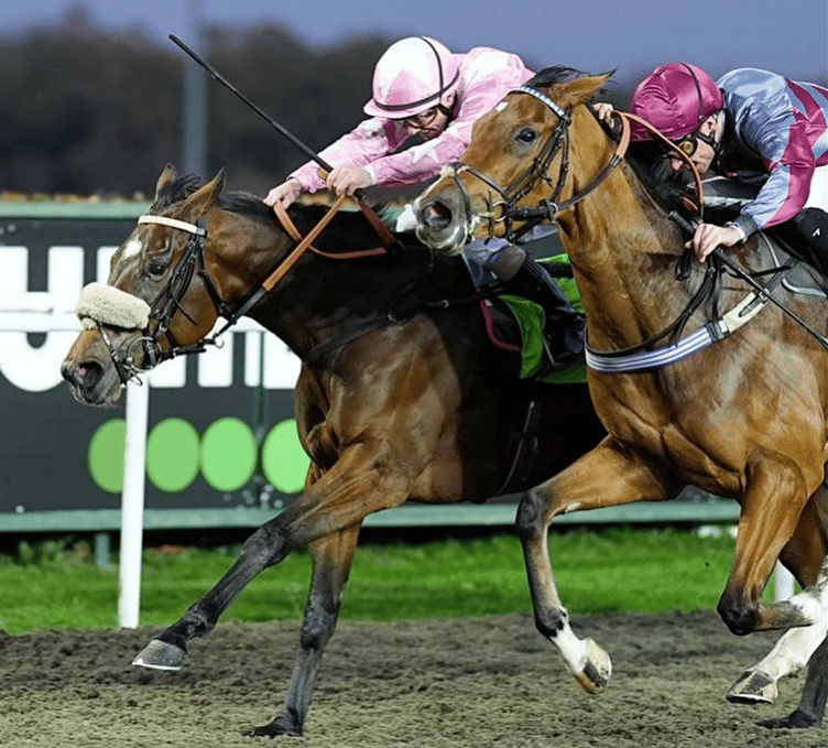 King's Code comes home by a neck to take the £41,000 first prize. Photo: Kempton Racecourse
