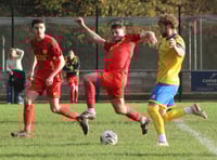 Wasps swatted 5-0 in first half demolition