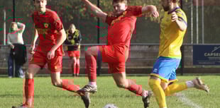 Wasps swatted 5-0 in first half demolition