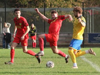 Wasps swatted 5-0 in first half demolition