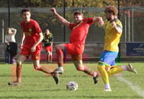 Wasps swatted 5-0 in first half demolition