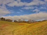 Wildlife trust lifts lid on nature reserve waterless loo plan