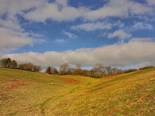 Wildlife trust lifts lid on nature reserve waterless loo plan