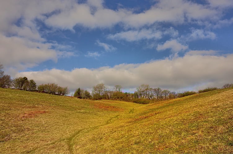 An eco-friendly loo is planned for Springdale Nature Reserve