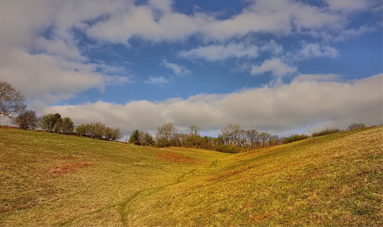 An eco-friendly loo is planned for Springdale Nature Reserve