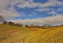 Wildlife trust lifts lid on nature reserve waterless loo plan