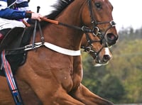 Vincenzo takes second for Thomas in Paddy Power Gold Cup