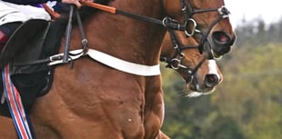 Vincenzo takes second for Thomas in Paddy Power Gold Cup