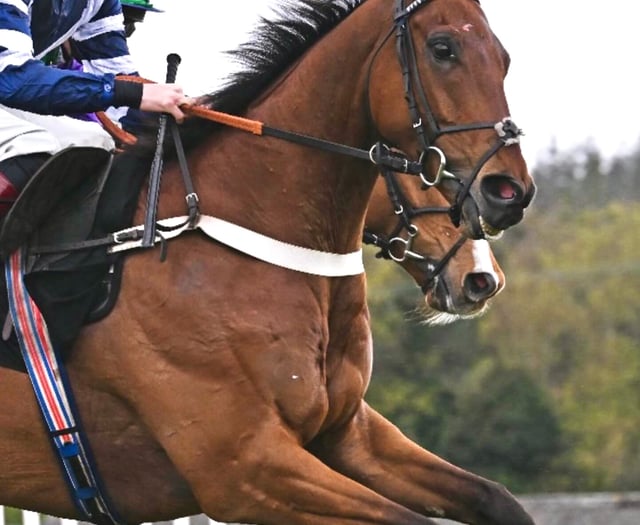 Vincenzo takes second for Thomas in Paddy Power Gold Cup