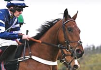 Vincenzo takes second for Thomas in Paddy Power Gold Cup