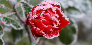 Health board urges residents to check on neighbours in cold snap 