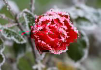 Health board urges residents to check on neighbours as cold snap hits area