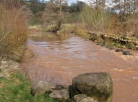 Lessons learned from Severn defence schemes can be applied elsewhere