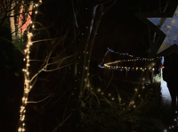 Light show to transform Linda Vista Gardens this December! 